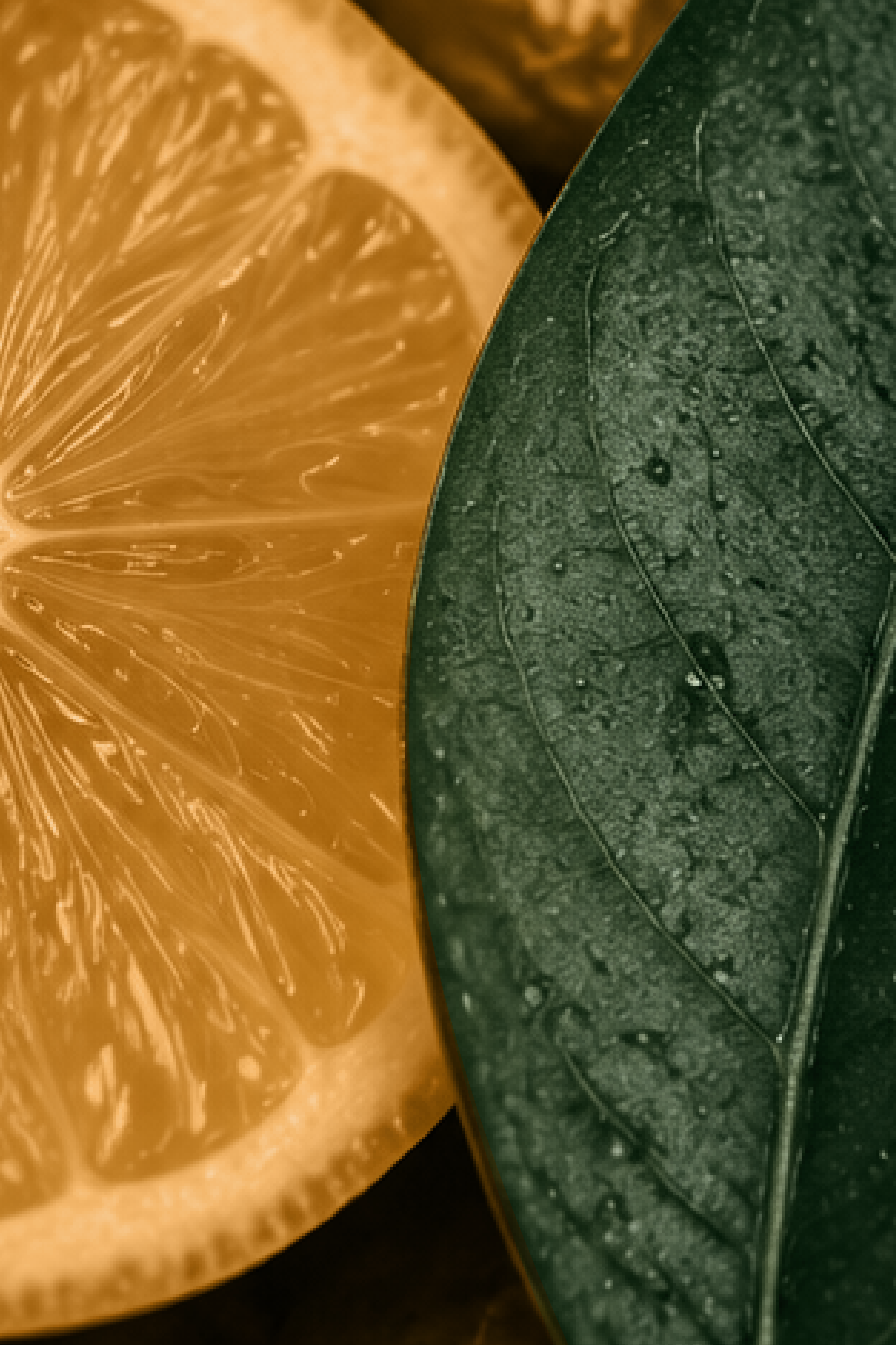 Close-up of Lemon & Leaf candle wax texture