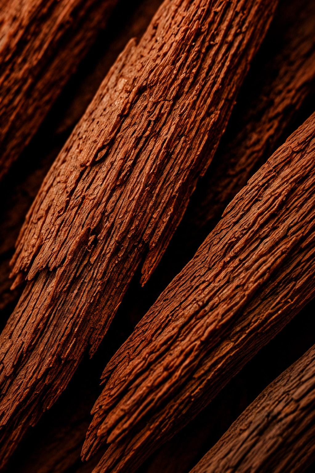 Close-up of Palo Woods candle wax texture
